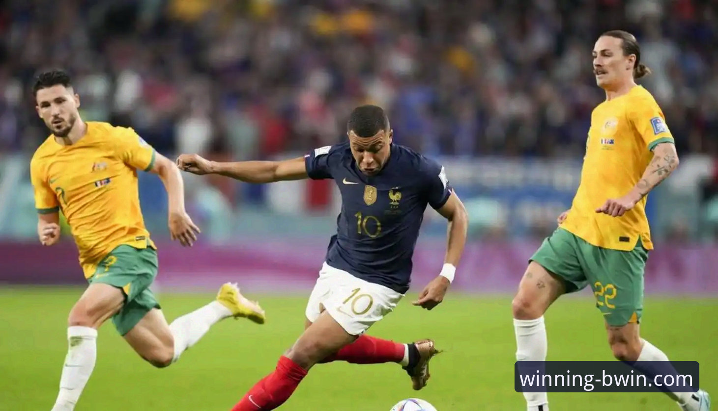 深度解析阿根廷世界杯前景：从帕尼切利重伤看战术演变与信息获取教程